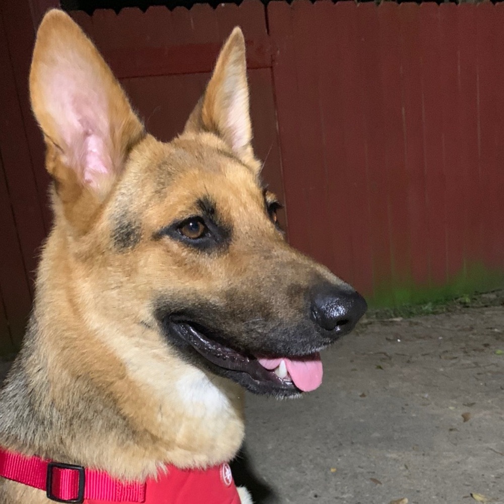 Meet your Posher, Amber